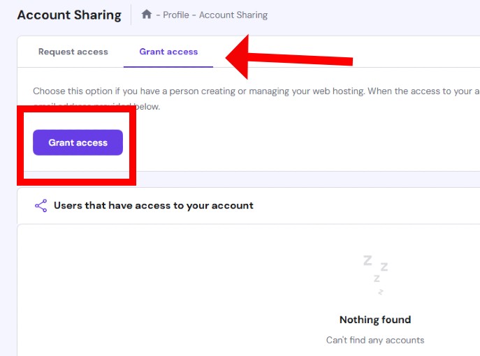 Hostinger Grant Access - click the Grant Access button